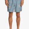 Quiksilver MIX - Short De Bain - Captains Blue