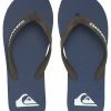 Quiksilver MOLOKAI - Tongs - Blue/brown/blue -Quiksilver Soldes 003496431c9d4ad6bdd06a648bd7705e