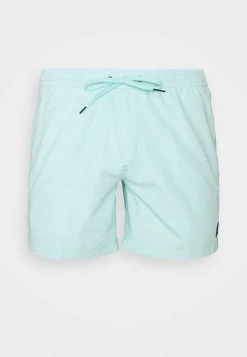 Quiksilver EVERYDAY VOLLEY - Short De Bain - Blue Light