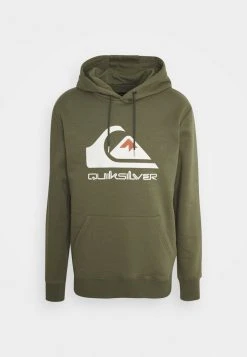 Quiksilver BIG LOGO HOODIE - Sweat à Capuche - Four Leaf Clover