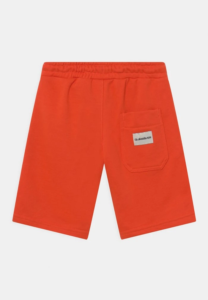 Quiksilver EASY DAY YOUTH - Short - Cherry Tomato 4 Quiksilver EASY DAY YOUTH - Short - Cherry Tomato – Image 2
