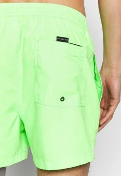 Quiksilver EVERYDAY VOLLEY - Short De Bain - Green Gecko -Quiksilver Soldes 098e41ddaea94ccea65a3aea9c97d230