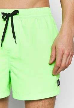 Quiksilver EVERYDAY VOLLEY - Short De Bain - Green Gecko -Quiksilver Soldes 0af7e93624024cbc9eb93aa6cf33d38d