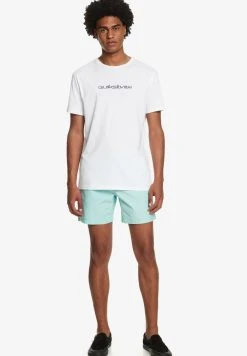 Quiksilver TAXER - Short - Bue