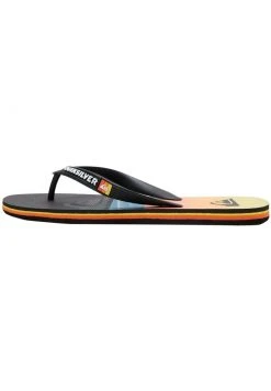 Quiksilver MOLOKAI PANEL - Tongs - Black