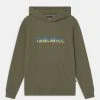 Quiksilver PRIMARY COLORS HOOD YOUTH - Sweat à Capuche - Four Leaf Clover