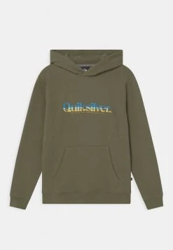 Quiksilver PRIMARY COLORS HOOD YOUTH - Sweat à Capuche - Four Leaf Clover
