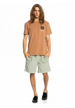 Quiksilver PROMOTE THE STOKE - T-shirt Imprimé - Chipmunk 7 Quiksilver PROMOTE THE STOKE - T-shirt Imprimé - Chipmunk -Quiksilver Soldes 11dff97aaafd4050b6952502efb941f4