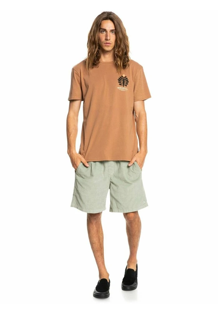 Quiksilver PROMOTE THE STOKE - T-shirt Imprimé - Chipmunk 4 Quiksilver PROMOTE THE STOKE - T-shirt Imprimé - Chipmunk – Image 2