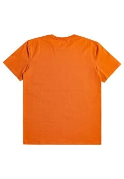 Quiksilver PRIMARY COLOURS - T-shirt Imprimé - Cinnamon 9 Quiksilver PRIMARY COLOURS - T-shirt Imprimé - Cinnamon -Quiksilver Soldes 13a43e955de847a3ae26f4c9afe9210b