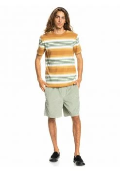 Quiksilver TRANSAT - T-shirt Imprimé - Brown -Quiksilver Soldes 14d1ff503a5340bc800201c75d08fac8