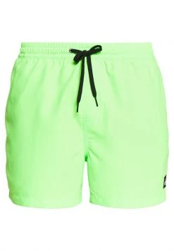 Quiksilver EVERYDAY VOLLEY - Short De Bain - Green Gecko -Quiksilver Soldes 1ba7d5d5f0ec47a58f538712d61d9a3a