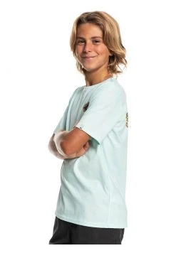 Quiksilver MYTHIC LIMITS MANCHES COURTES - T-shirt Imprimé - Blue Glass 5 Quiksilver MYTHIC LIMITS MANCHES COURTES - T-shirt Imprimé - Blue Glass -Quiksilver Soldes 305c4c1abaf143d98f74c0bd984fedf6