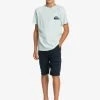 Quiksilver CRUCIAL BATTLE YOUTH - Pantalon Cargo - Navy Blazer