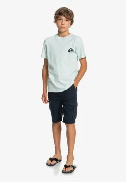 Quiksilver CRUCIAL BATTLE YOUTH - Pantalon Cargo - Navy Blazer