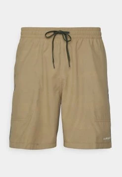 Quiksilver EVERYDAY SWITCH VOLLEY 2 PACK - Short De Bain - Sea Pine