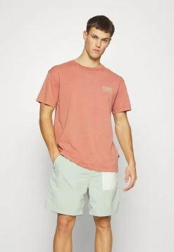 Quiksilver TRAIL MAP TEES - T-shirt Imprimé - Aragon