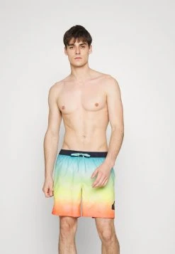 Quiksilver EVERYDAY FADED LOGO VOLLEY - Short De Bain - Tarmac