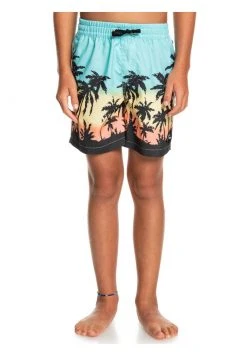 Quiksilver Short De Bain - Blue