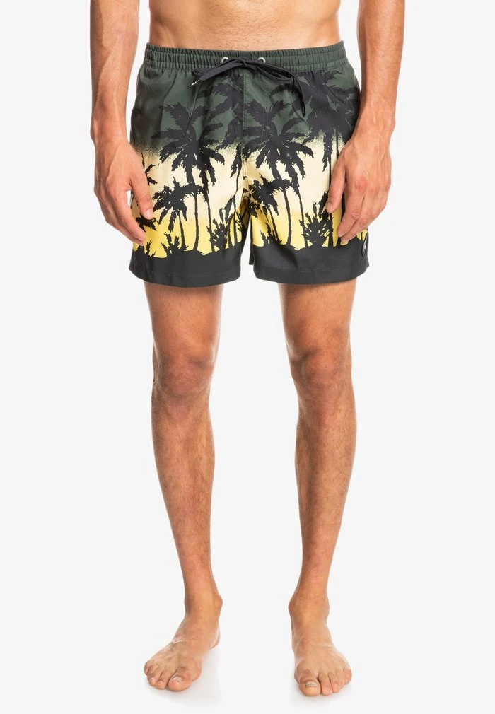 EVERYDAY PARADISE - Short de bain - thyme Quiksilver EVERYDAY PARADISE - Short De Bain - Thyme -Quiksilver Soldes 449f54117a4c4deaabf24b479cce0b5d