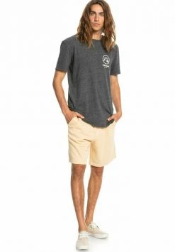 Quiksilver TRIP AWAY - Short - Prairie Sand -Quiksilver Soldes 48f6af69c8034bbbbd0630a751f1807e