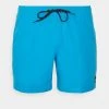 Quiksilver EVERYDAY VOLLEY - Short De Bain - Blithe 2 Quiksilver EVERYDAY VOLLEY - Short De Bain - Blithe -Quiksilver Soldes 4c2287eace474aef9fda9c4ea4e04351