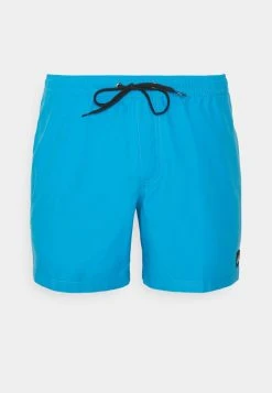 Quiksilver EVERYDAY VOLLEY - Short De Bain - Blithe