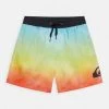 Quiksilver EVERYDAY FADED LOGO YOUTH - Short De Bain - Tarmac