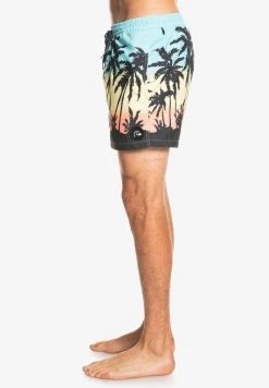 Quiksilver EVERYDAY PARADISE - Short De Bain - Blue 10 Quiksilver EVERYDAY PARADISE - Short De Bain - Blue -Quiksilver Soldes 530c43dc6d524e2cba6848b2147d758e