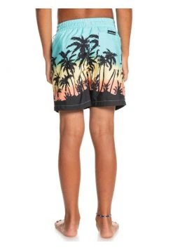 Quiksilver Short De Bain - Blue -Quiksilver Soldes 55eb260458d347ad8df4197a586c8b88