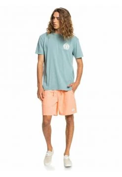 Quiksilver PROMOTE THE STOKE - T-shirt Imprimé - Sea Pine 7 Quiksilver PROMOTE THE STOKE - T-shirt Imprimé - Sea Pine -Quiksilver Soldes 570e680cea9b4e689f425c510ff2ecba