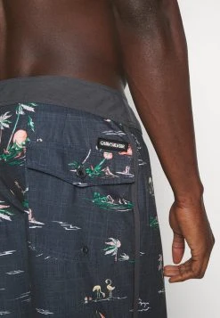 Quiksilver SURFSILK MYSTIC SESSIONS - Short De Bain - Black 5 Quiksilver SURFSILK MYSTIC SESSIONS - Short De Bain - Black -Quiksilver Soldes 58f0f4a41bfb4499a043a049aa87ed94