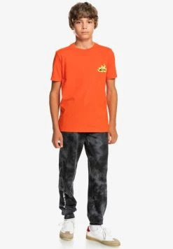 Quiksilver HELLS YEAH SS YTH - T-shirt Imprimé - Cherry Tomato