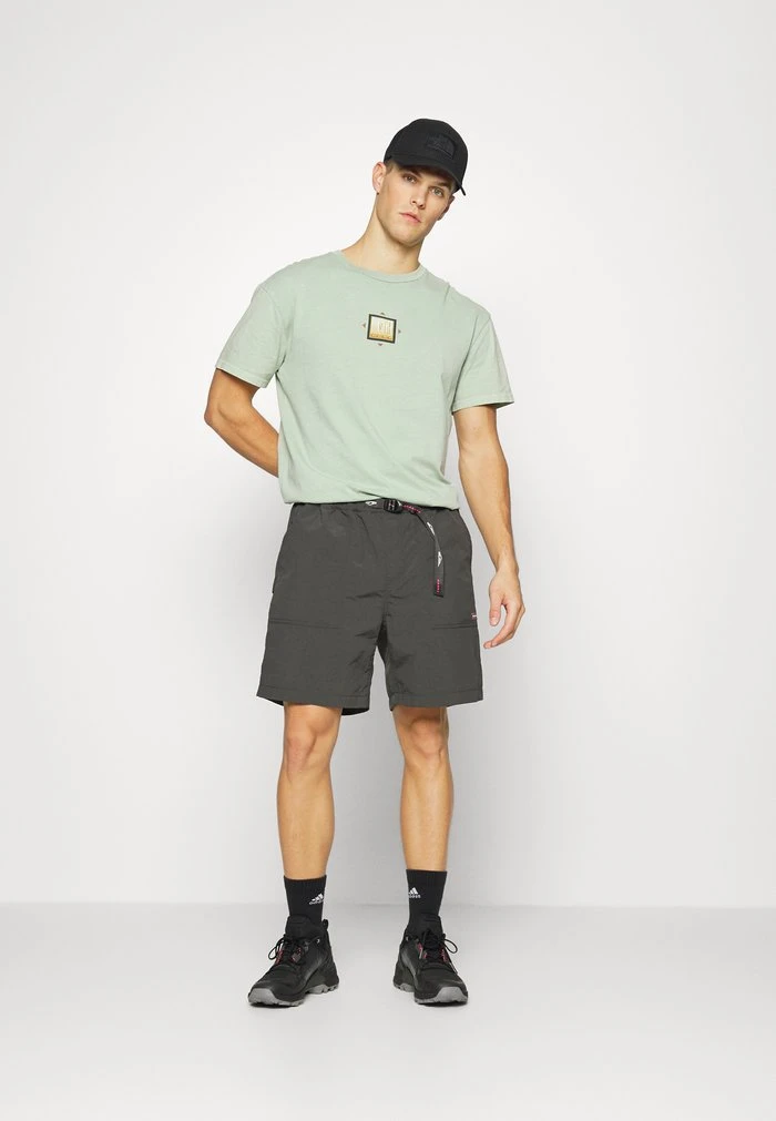 MOUNTAIN RISE TEES - T-shirt imprimé - frosty green Quiksilver MOUNTAIN RISE TEES - T-shirt Imprimé - Frosty Green -Quiksilver Soldes 5d92d050138e4f76b99408ed62383ff8