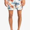 Quiksilver EVERYDAY GARDEN PATH VOLLEY - Short De Bain - Antique White -Quiksilver Soldes 5f3afebcfcb343a1bb7a14fe65ea54c3