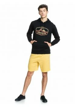 Quiksilver HIGHWAY VAGABOND - Sweat à Capuche - Black