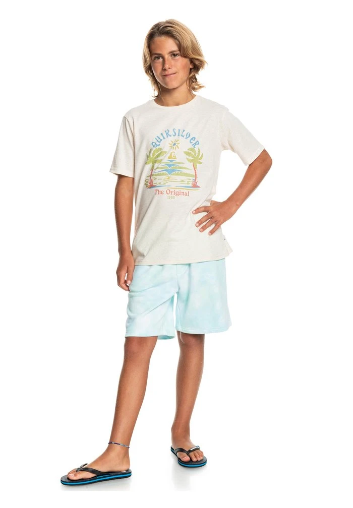 Quiksilver STRANGE DAYS - T-shirt Imprimé - Antique White Heather 6 Quiksilver STRANGE DAYS - T-shirt Imprimé - Antique White Heather – Image 4