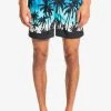 Quiksilver EVERYDAY PARADISE - Short De Bain - Blithe -Quiksilver Soldes 6924a97b63514026963c140a0b6771b5