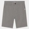 Quiksilver EVERYDAY LIGHT - Short - Light Grey Heather