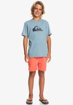 Quiksilver COMP LOGO - T-shirt Imprimé - Faded Denim
