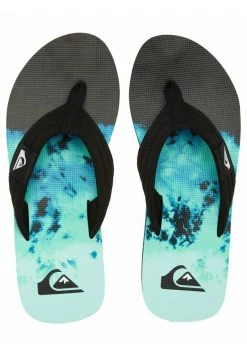 Quiksilver MOLOKAI LAYBACK - Tongs - Black/green/blue