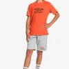 Quiksilver FEEDING LINE - T-shirt Imprimé - Cherry Tomato