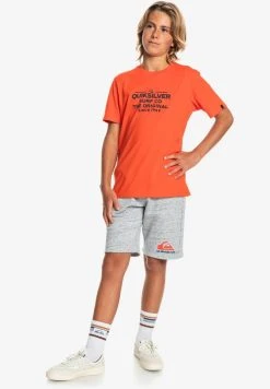 Quiksilver FEEDING LINE - T-shirt Imprimé - Cherry Tomato