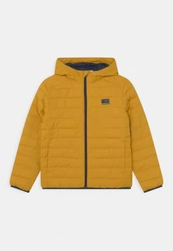 Quiksilver SCALY YOUTH - Veste D'hiver - Nugget Gold