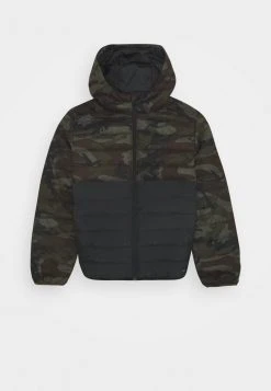 Quiksilver SCALY MIX YOUTH - Veste D'hiver - Green/black