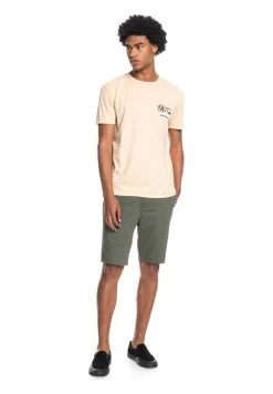 Quiksilver T-shirt Imprimé - Sahara Sun 9 Quiksilver T-shirt Imprimé - Sahara Sun -Quiksilver Soldes 95dc120e7bdd4f028b556e0e84ac2ed2