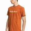 Quiksilver PRIMARY COLOURS - T-shirt Imprimé - Cinnamon