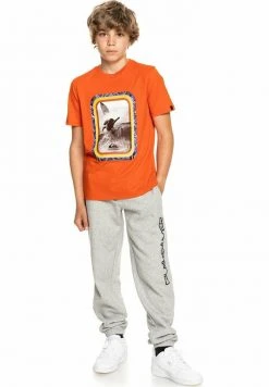 Quiksilver FUTURE ISLANDS - T-shirt Imprimé - Pureed Pumpkin