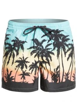 Quiksilver EVERYDAY PARADISE - Short De Bain - Blue 11 Quiksilver EVERYDAY PARADISE - Short De Bain - Blue -Quiksilver Soldes a34954f59c2342e8a21bb170139f44c9