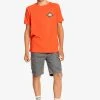 Quiksilver NINETIES SON SS YTH - T-shirt Imprimé - Cherry Tomato 2 Quiksilver NINETIES SON SS YTH - T-shirt Imprimé - Cherry Tomato -Quiksilver Soldes b456774e86b24be48d72668d6b26c760